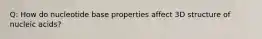 Q: How do nucleotide base properties affect 3D structure of nucleic acids?