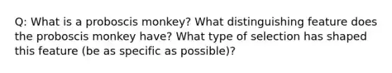 Q: What is a proboscis monkey? What distinguishing feature does the proboscis monkey have? What type of selection has shaped this feature (be as specific as possible)?