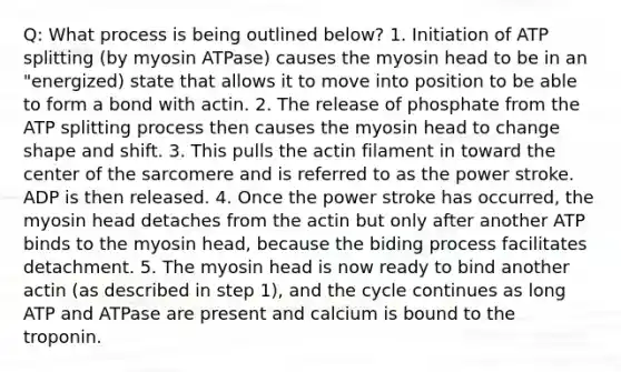 Q: What process is being outlined below? 1. Initiation of ATP splitting (by myosin ATPase) causes the myosin head to be in an "energized) state that allows it to move into position to be able to form a bond with actin. 2. The release of phosphate from the ATP splitting process then causes the myosin head to change shape and shift. 3. This pulls the actin filament in toward the center of the sarcomere and is referred to as the power stroke. ADP is then released. 4. Once the power stroke has occurred, the myosin head detaches from the actin but only after another ATP binds to the myosin head, because the biding process facilitates detachment. 5. The myosin head is now ready to bind another actin (as described in step 1), and the cycle continues as long ATP and ATPase are present and calcium is bound to the troponin.