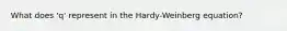 What does 'q' represent in the Hardy-Weinberg equation?