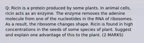 Q: Ricin is a protein produced by some plants. In animal cells, ricin acts as an enzyme. The enzyme removes the adenine molecule from one of the nucleotides in the RNA of ribosomes. As a result, the ribosome changes shape. Ricin is found in high concentrations in the seeds of some species of plant. Suggest and explain one advantage of this to the plant. (2 MARKS)