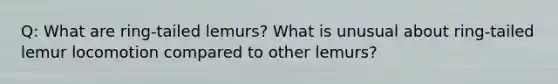Q: What are ring-tailed lemurs? What is unusual about ring-tailed lemur locomotion compared to other lemurs?