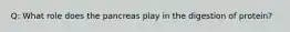 Q: What role does the pancreas play in the digestion of protein?