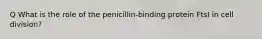 Q What is the role of the penicillin-binding protein FtsI in cell division?