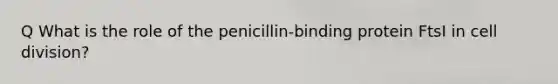 Q What is the role of the penicillin-binding protein FtsI in cell division?