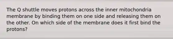 The Q shuttle moves protons across the inner mitochondria membrane by binding them on one side and releasing them on the other. On which side of the membrane does it first bind the protons?