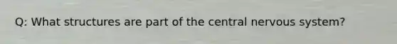 Q: What structures are part of the central nervous system?