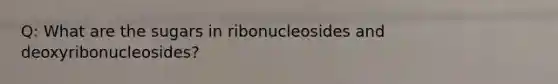 Q: What are the sugars in ribonucleosides and deoxyribonucleosides?