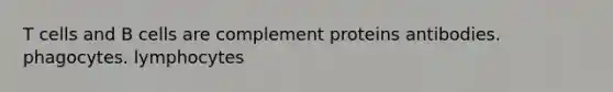 T cells and B cells are complement proteins antibodies. phagocytes. lymphocytes