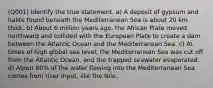 (Q001) Identify the true statement. a) A deposit of gypsum and halite found beneath the Mediterranean Sea is about 20 km thick. b) About 6 million years ago, the African Plate moved northward and collided with the European Plate to create a dam between the Atlantic Ocean and the Mediterranean Sea. c) At times of high global sea level, the Mediterranean Sea was cut off from the Atlantic Ocean, and the trapped seawater evaporated. d) About 60% of the water flowing into the Mediterranean Sea comes from river input, like the Nile.