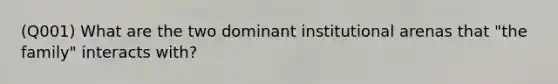 (Q001) What are the two dominant institutional arenas that "the family" interacts with?