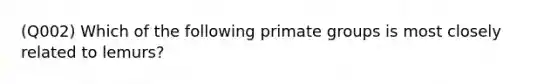 (Q002) Which of the following primate groups is most closely related to lemurs?