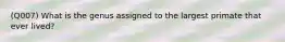 (Q007) What is the genus assigned to the largest primate that ever lived?
