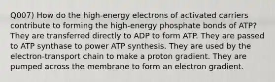 Q007) How do the high-energy electrons of activated carriers contribute to forming the high-energy phosphate bonds of ATP? They are transferred directly to ADP to form ATP. They are passed to ATP synthase to power ATP synthesis. They are used by the electron-transport chain to make a proton gradient. They are pumped across the membrane to form an electron gradient.