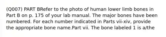 (Q007) PART BRefer to the photo of human lower limb bones in Part B on p. 175 of your lab manual. The major bones have been numbered. For each number indicated in Parts vii-xiv, provide the appropriate bone name.Part vii. The bone labeled 1 is a/the