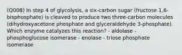 (Q008) In step 4 of glycolysis, a six-carbon sugar (fructose 1,6-bisphosphate) is cleaved to produce two three-carbon molecules (dihydroxyacetone phosphate and glyceraldehyde 3-phosphate). Which enzyme catalyzes this reaction? - aldolase - phosphoglucose isomerase - enolase - triose phosphate isomerase