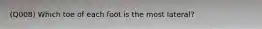 (Q008) Which toe of each foot is the most lateral?
