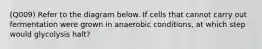 (Q009) Refer to the diagram below. If cells that cannot carry out fermentation were grown in anaerobic conditions, at which step would glycolysis halt?