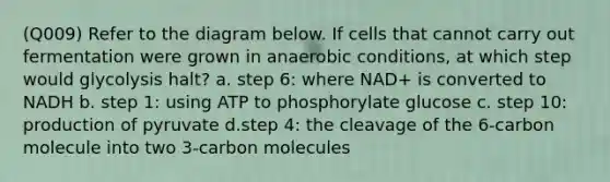 (Q009) Refer to the diagram below. If cells that cannot carry out fermentation were grown in anaerobic conditions, at which step would glycolysis halt? a. step 6: where NAD+ is converted to NADH b. step 1: using ATP to phosphorylate glucose c. step 10: production of pyruvate d.step 4: the cleavage of the 6-carbon molecule into two 3-carbon molecules