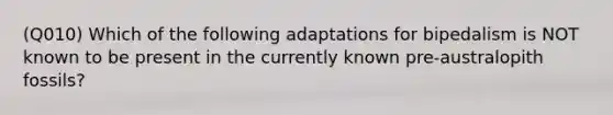 (Q010) Which of the following adaptations for bipedalism is NOT known to be present in the currently known pre-australopith fossils?