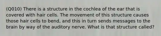 (Q010) There is a structure in the cochlea of the ear that is covered with hair cells. The movement of this structure causes those hair cells to bend, and this in turn sends messages to the brain by way of the auditory nerve. What is that structure called?