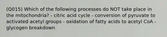 (Q015) Which of the following processes do NOT take place in the mitochondria? - citric acid cycle - conversion of pyruvate to activated acetyl groups - oxidation of fatty acids to acetyl CoA - glycogen breakdown