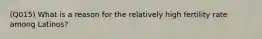 (Q015) What is a reason for the relatively high fertility rate among Latinos?