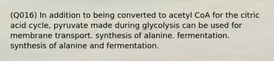 (Q016) In addition to being converted to acetyl CoA for the citric acid cycle, pyruvate made during glycolysis can be used for membrane transport. synthesis of alanine. fermentation. synthesis of alanine and fermentation.