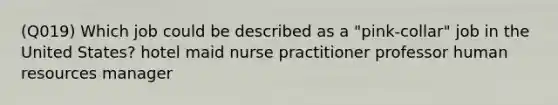 (Q019) Which job could be described as a "pink-collar" job in the United States? hotel maid nurse practitioner professor human resources manager