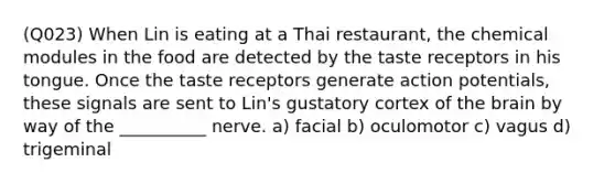 (Q023) When Lin is eating at a Thai restaurant, the chemical modules in the food are detected by the taste receptors in his tongue. Once the taste receptors generate action potentials, these signals are sent to Lin's gustatory cortex of the brain by way of the __________ nerve. a) facial b) oculomotor c) vagus d) trigeminal