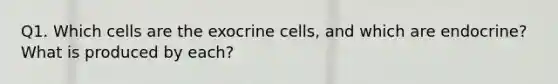 Q1. Which cells are the exocrine cells, and which are endocrine? What is produced by each?