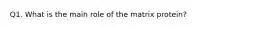 Q1. What is the main role of the matrix protein?