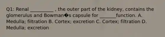 Q1: Renal __________ , the outer part of the kidney, contains the glomerulus and Bowman�s capsule for _______function. A. Medulla; filtration B. Cortex; excretion C. Cortex; filtration D. Medulla; excretion