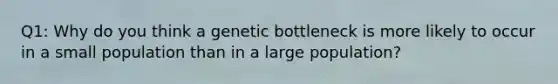 Q1: Why do you think a genetic bottleneck is more likely to occur in a small population than in a large population?