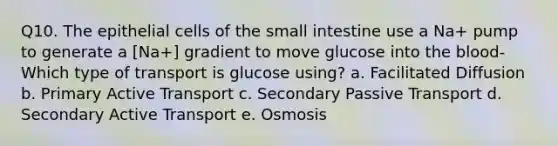 Q10. The epithelial cells of the small intestine use a Na+ pump to generate a [Na+] gradient to move glucose into the blood- Which type of transport is glucose using? a. Facilitated Diffusion b. Primary Active Transport c. Secondary Passive Transport d. Secondary Active Transport e. Osmosis