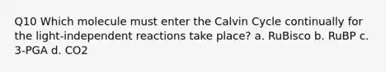 Q10 Which molecule must enter the Calvin Cycle continually for the light-independent reactions take place? a. RuBisco b. RuBP c. 3-PGA d. CO2