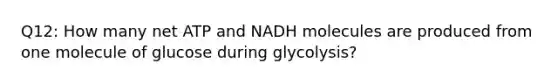 Q12: How many net ATP and NADH molecules are produced from one molecule of glucose during glycolysis?