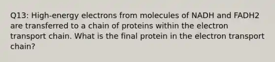 Q13: High-energy electrons from molecules of NADH and FADH2 are transferred to a chain of proteins within the electron transport chain. What is the final protein in the electron transport chain?