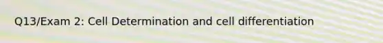 Q13/Exam 2: Cell Determination and cell differentiation