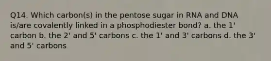 Q14. Which carbon(s) in the pentose sugar in RNA and DNA is/are covalently linked in a phosphodiester bond? a. the 1' carbon b. the 2' and 5' carbons c. the 1' and 3' carbons d. the 3' and 5' carbons