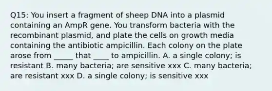 Q15: You insert a fragment of sheep DNA into a plasmid containing an AmpR gene. You transform bacteria with the recombinant plasmid, and plate the cells on growth media containing the antibiotic ampicillin. Each colony on the plate arose from _____ that ____ to ampicillin. A. a single colony; is resistant B. many bacteria; are sensitive xxx C. many bacteria; are resistant xxx D. a single colony; is sensitive xxx