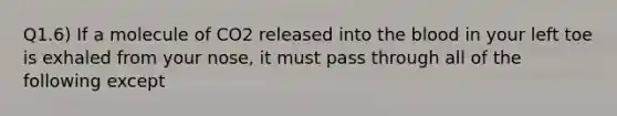 Q1.6) If a molecule of CO2 released into <a href='https://www.questionai.com/knowledge/k7oXMfj7lk-the-blood' class='anchor-knowledge'>the blood</a> in your left toe is exhaled from your nose, it must pass through all of the following except