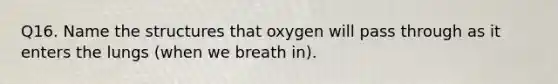 Q16. Name the structures that oxygen will pass through as it enters the lungs (when we breath in).