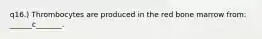 q16.) Thrombocytes are produced in the red bone marrow from: ______c_______.