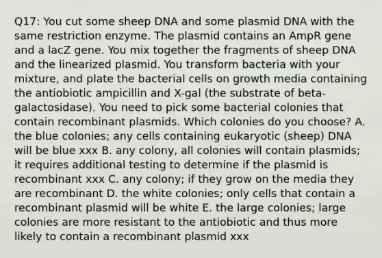 Q17: You cut some sheep DNA and some plasmid DNA with the same restriction enzyme. The plasmid contains an AmpR gene and a lacZ gene. You mix together the fragments of sheep DNA and the linearized plasmid. You transform bacteria with your mixture, and plate the bacterial cells on growth media containing the antiobiotic ampicillin and X-gal (the substrate of beta-galactosidase). You need to pick some bacterial colonies that contain recombinant plasmids. Which colonies do you choose? A. the blue colonies; any cells containing eukaryotic (sheep) DNA will be blue xxx B. any colony, all colonies will contain plasmids; it requires additional testing to determine if the plasmid is recombinant xxx C. any colony; if they grow on the media they are recombinant D. the white colonies; only cells that contain a recombinant plasmid will be white E. the large colonies; large colonies are more resistant to the antiobiotic and thus more likely to contain a recombinant plasmid xxx