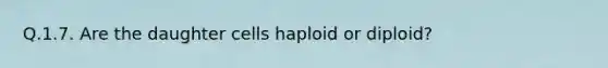 Q.1.7. Are the daughter cells haploid or diploid?