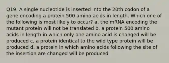 Q19: A single nucleotide is inserted into the 20th codon of a gene encoding a protein 500 amino acids in length. Which one of the following is most likely to occur? a. the mRNA encoding the mutant protein will not be translated b. a protein 500 amino acids in length in which only one amino acid is changed will be produced c. a protein identical to the wild type protein will be produced d. a protein in which amino acids following the site of the insertion are changed will be produced