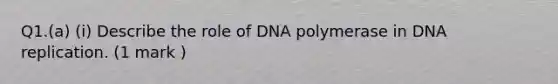 Q1.(a) (i) Describe the role of DNA polymerase in DNA replication. (1 mark )