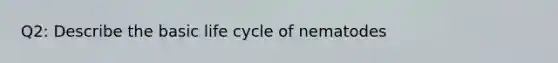 Q2: Describe the basic life cycle of nematodes