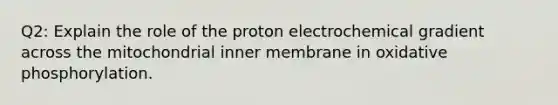 Q2: Explain the role of the proton electrochemical gradient across the mitochondrial inner membrane in oxidative phosphorylation.